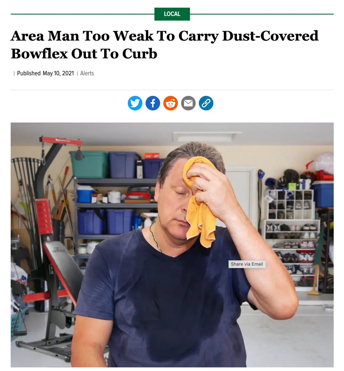 The Onion: Area Man 4