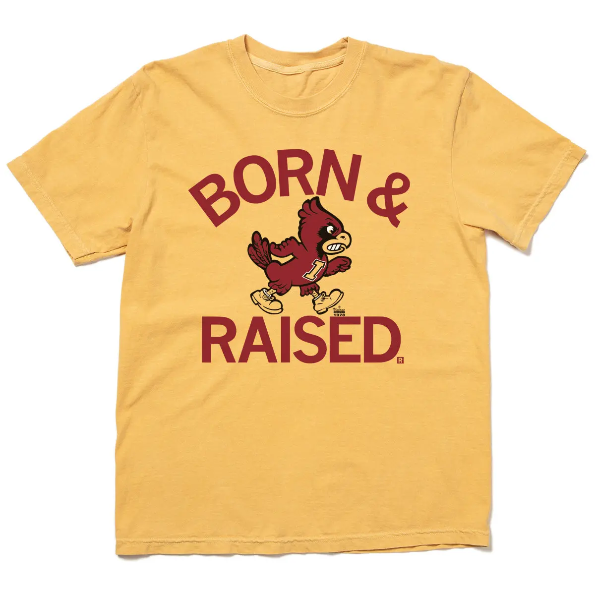 Cyclones Born & Raised Vintage Heavyweight 2
