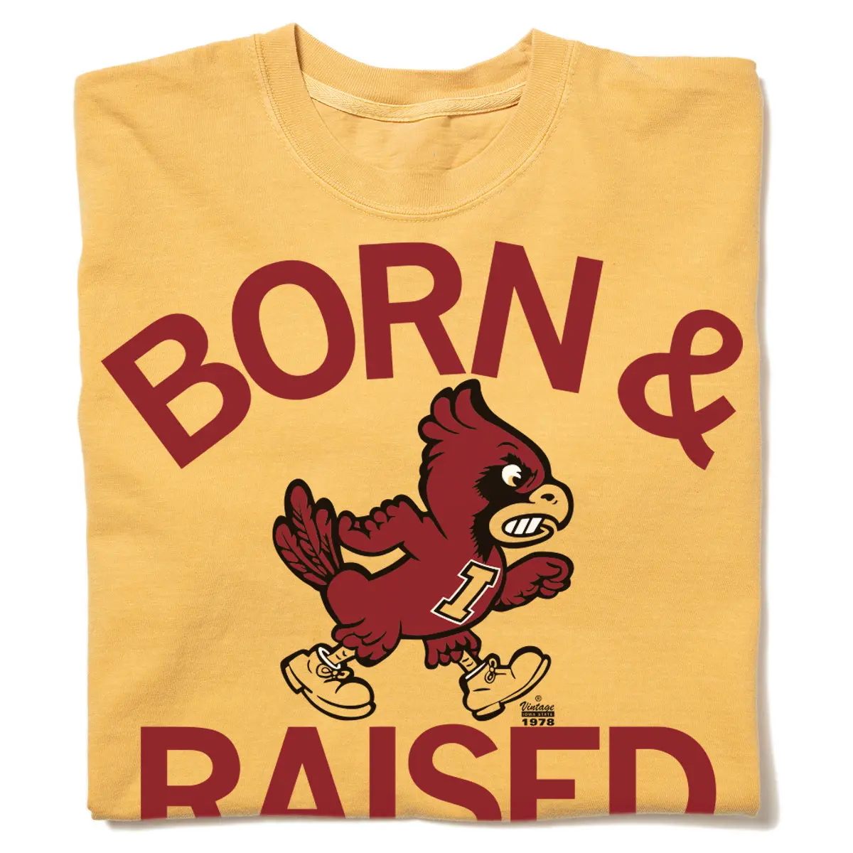 Cyclones Born & Raised Vintage Heavyweight 1