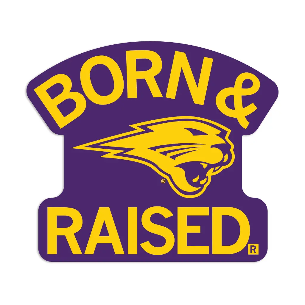 Panthers Born & Raised Die-Cut Sticker 1