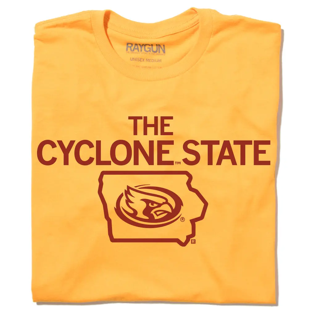 The Cyclone State 1
