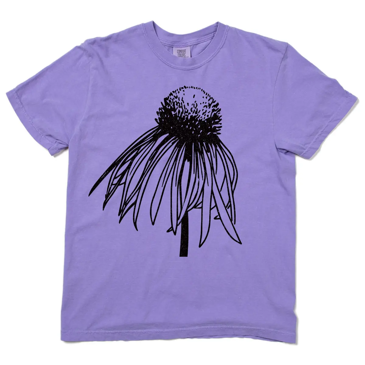 Pale Purple Coneflower Heavyweight 2