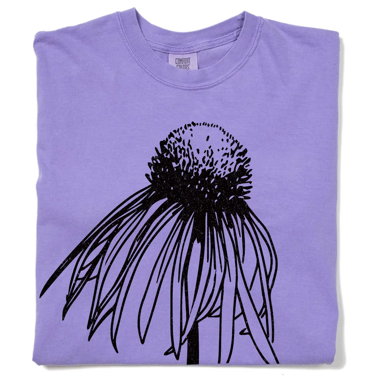 Pale Purple Coneflower Heavyweight 1