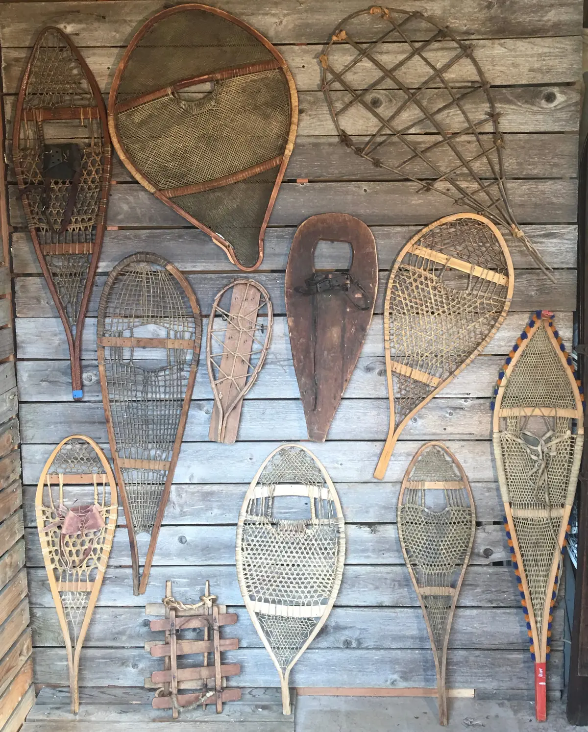 Vintage Snowshoe Collection (Singles) - Snowshoe Wall Art 1