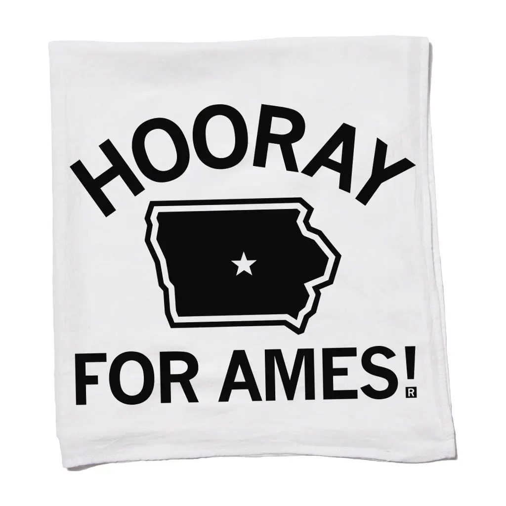 Hooray For Ames Kitchen Towel 1