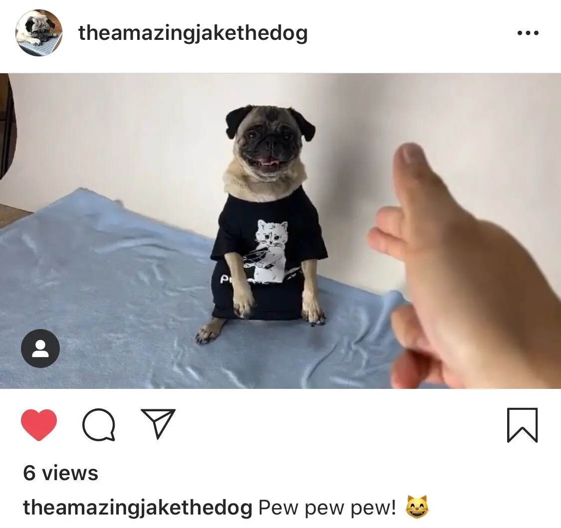 Pew Pew Pew Black 4