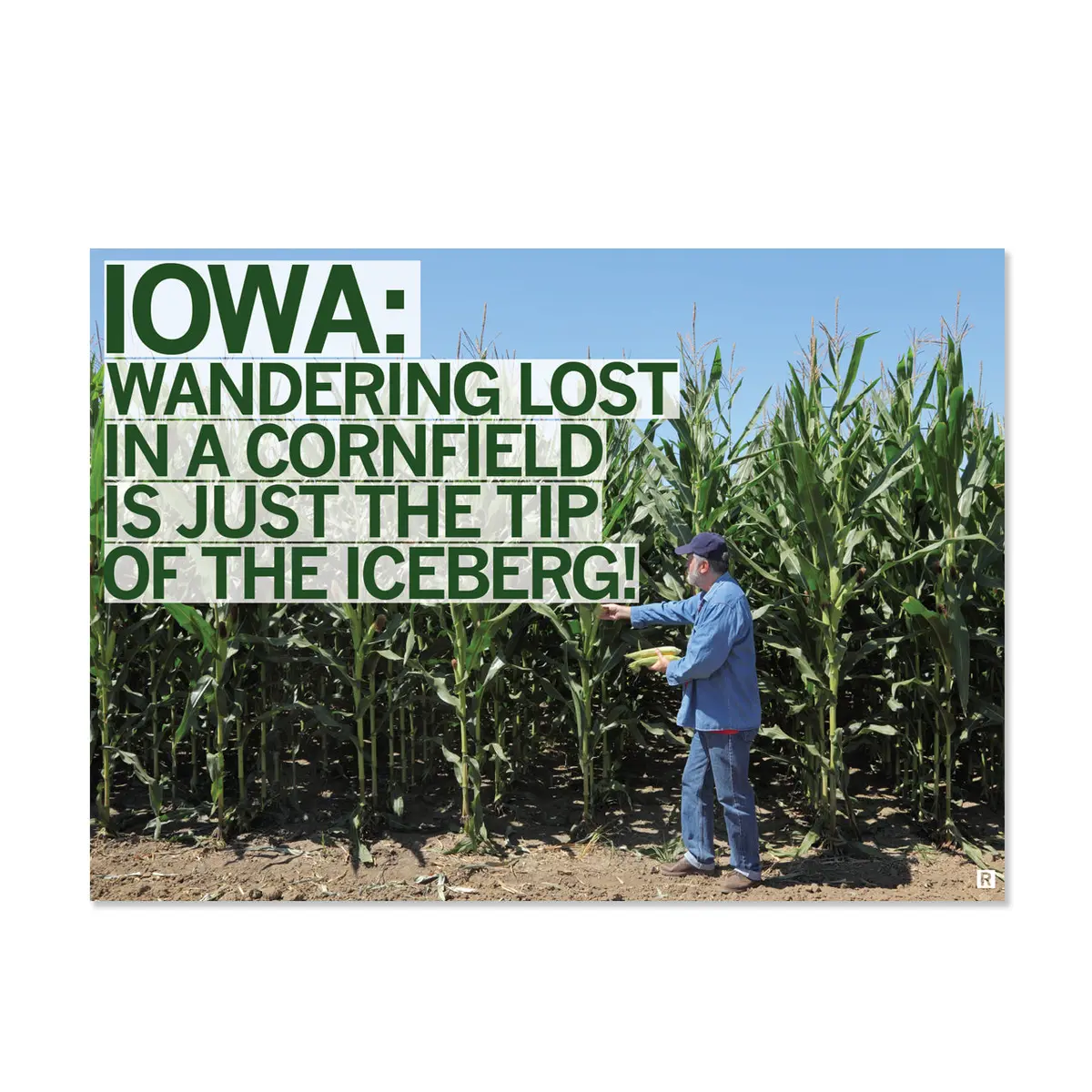 Iowa Wandering In A Cornfield Postcard 1