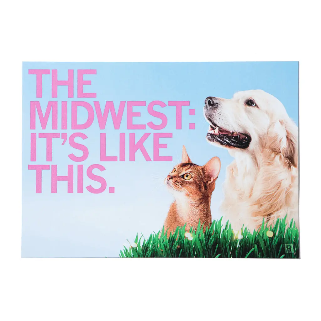 Midwest Is Like This Postcard - Cats And Dogs 1