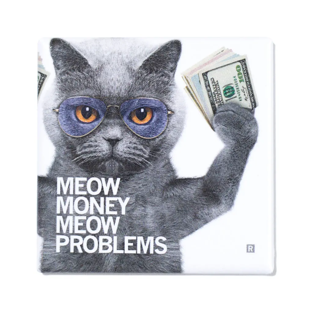Meow Money Photo Metal Magnet 1