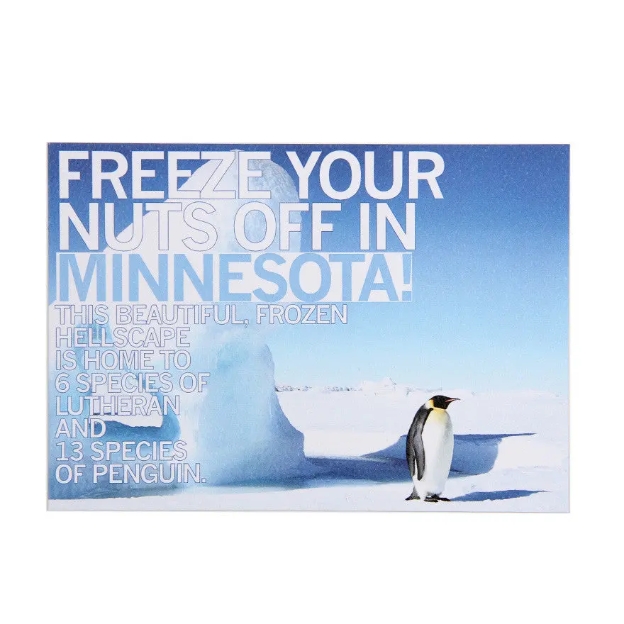 Freeze Minnesota Postcard 1