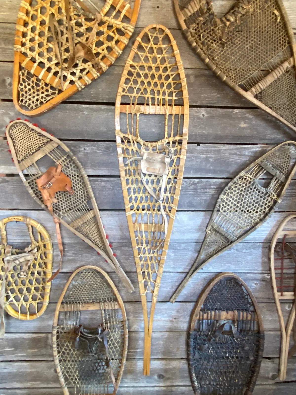 Antique Snowshoes Collection (Singles) 1