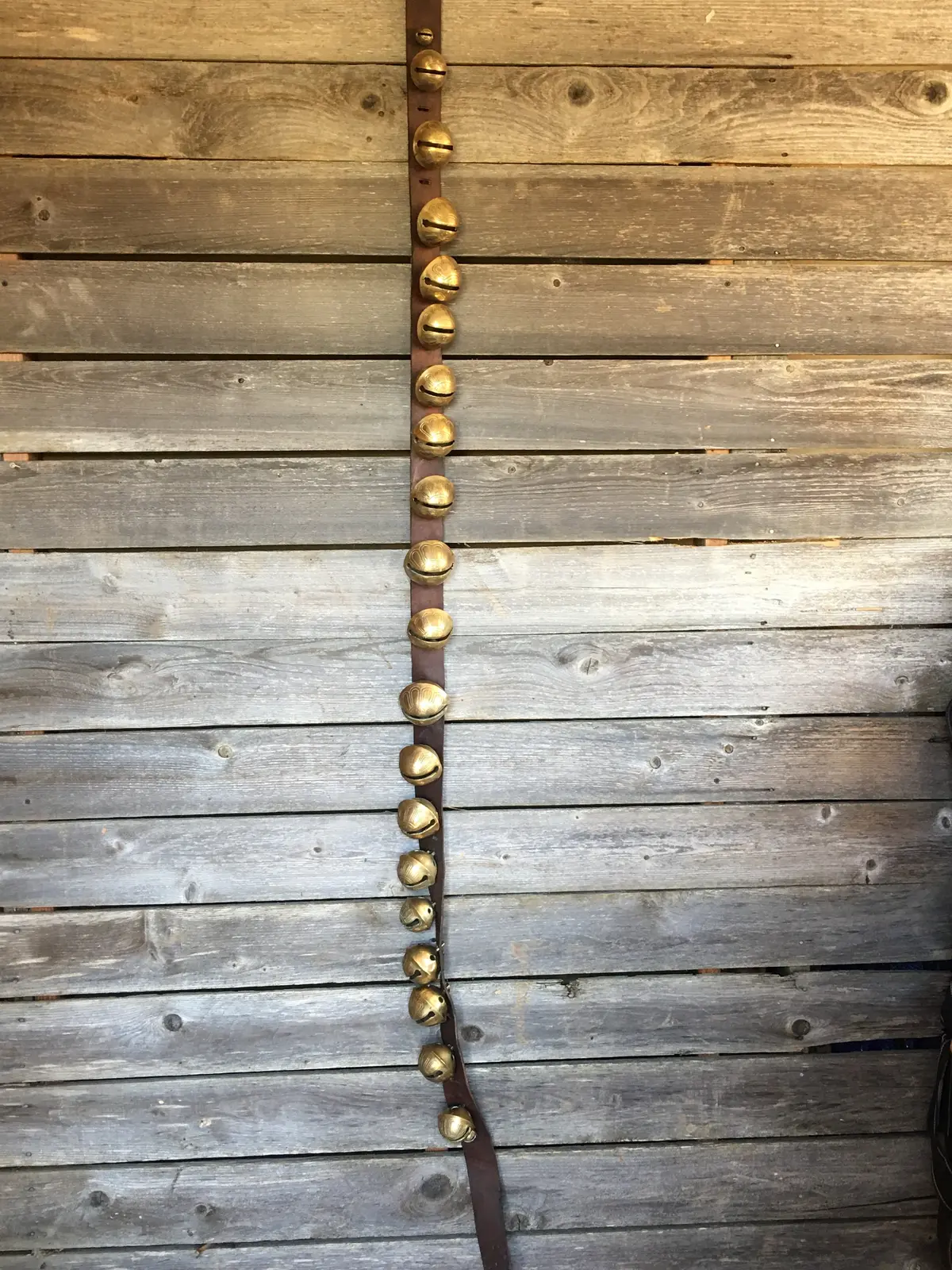 Sleigh Bells - Strap Of 21 Bells Attached To Vintage Leather Strap 1