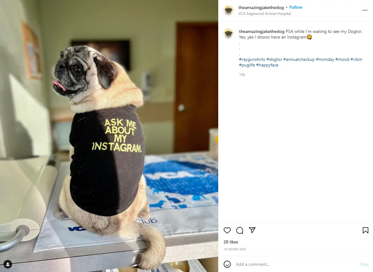 Ask Me About My Instagram Dog Shirt 3
