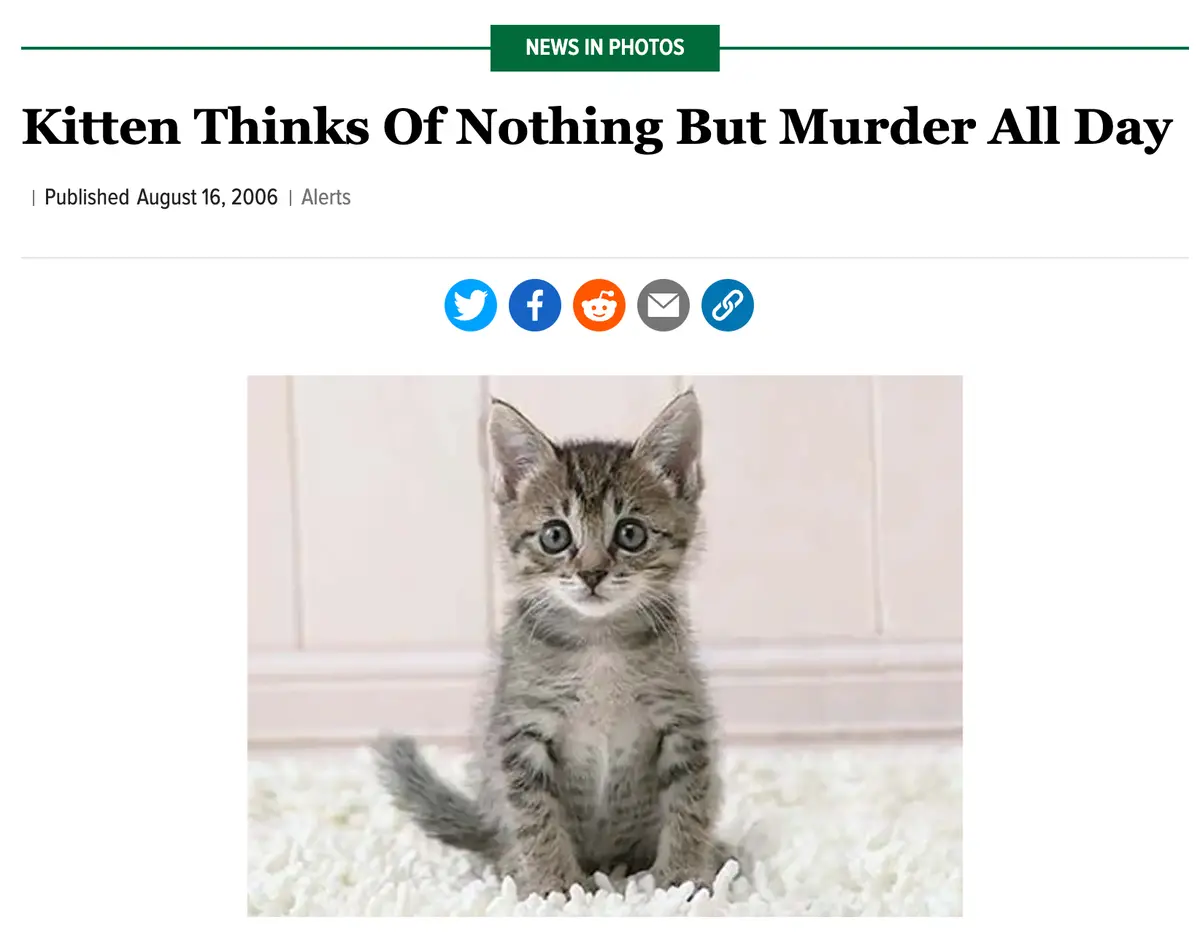 The Onion: Kitten Thinks Of Murder 4
