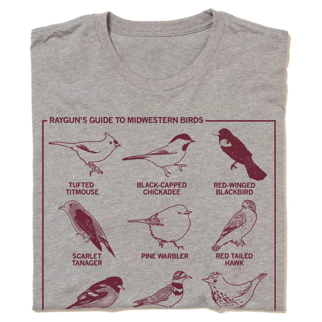 Midwestern Birds 1