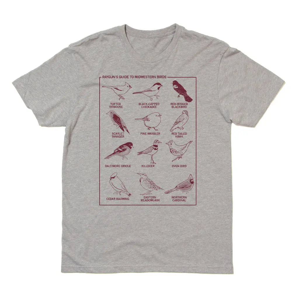 Midwestern Birds 2