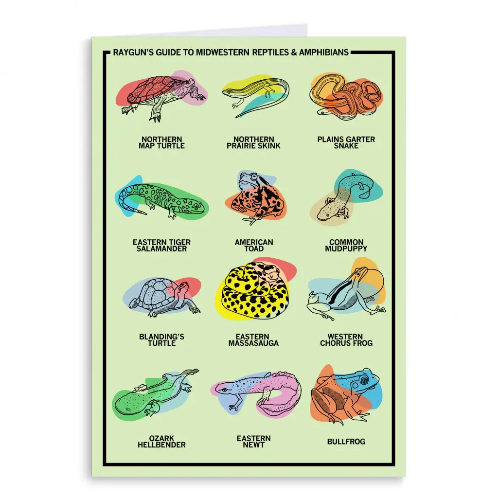 Midwestern Reptiles & Amphibians Greeting Card 1