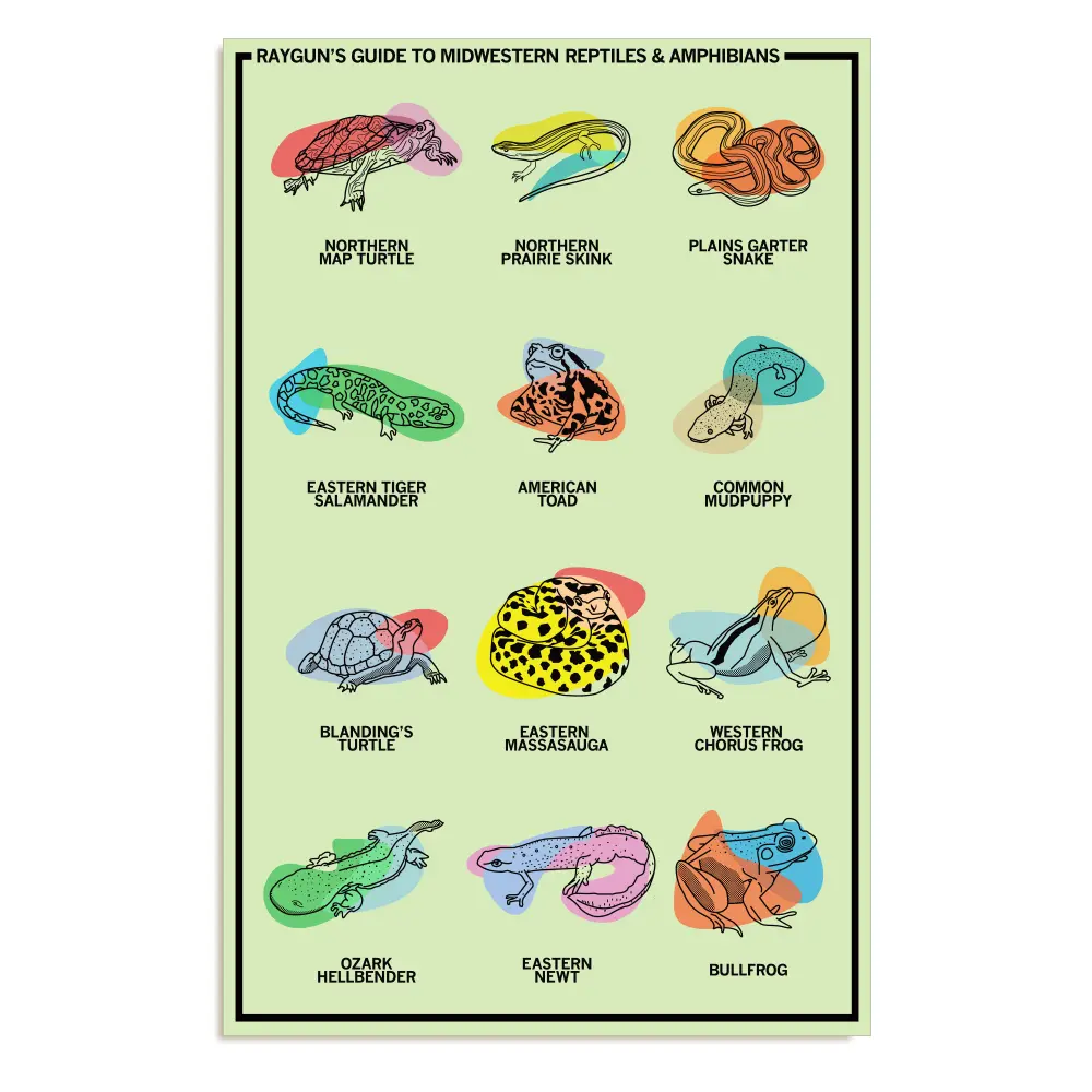 Midwestern Reptiles & Amphibians Poster 1
