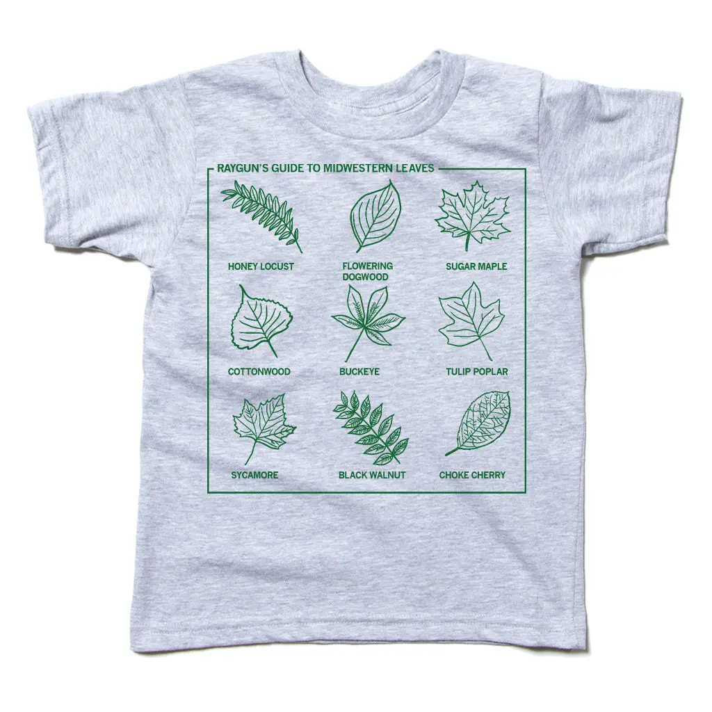 Midwestern Leaves Kids 1