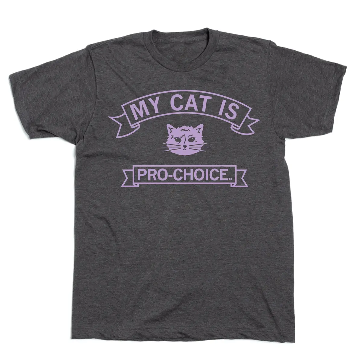 My Cat Is Pro Choice 2