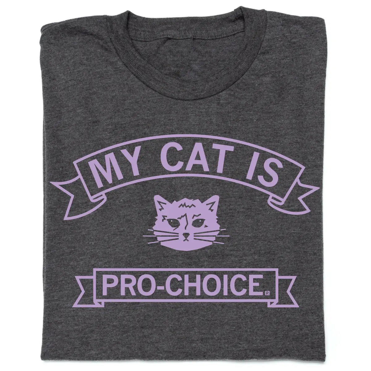 My Cat Is Pro Choice 1