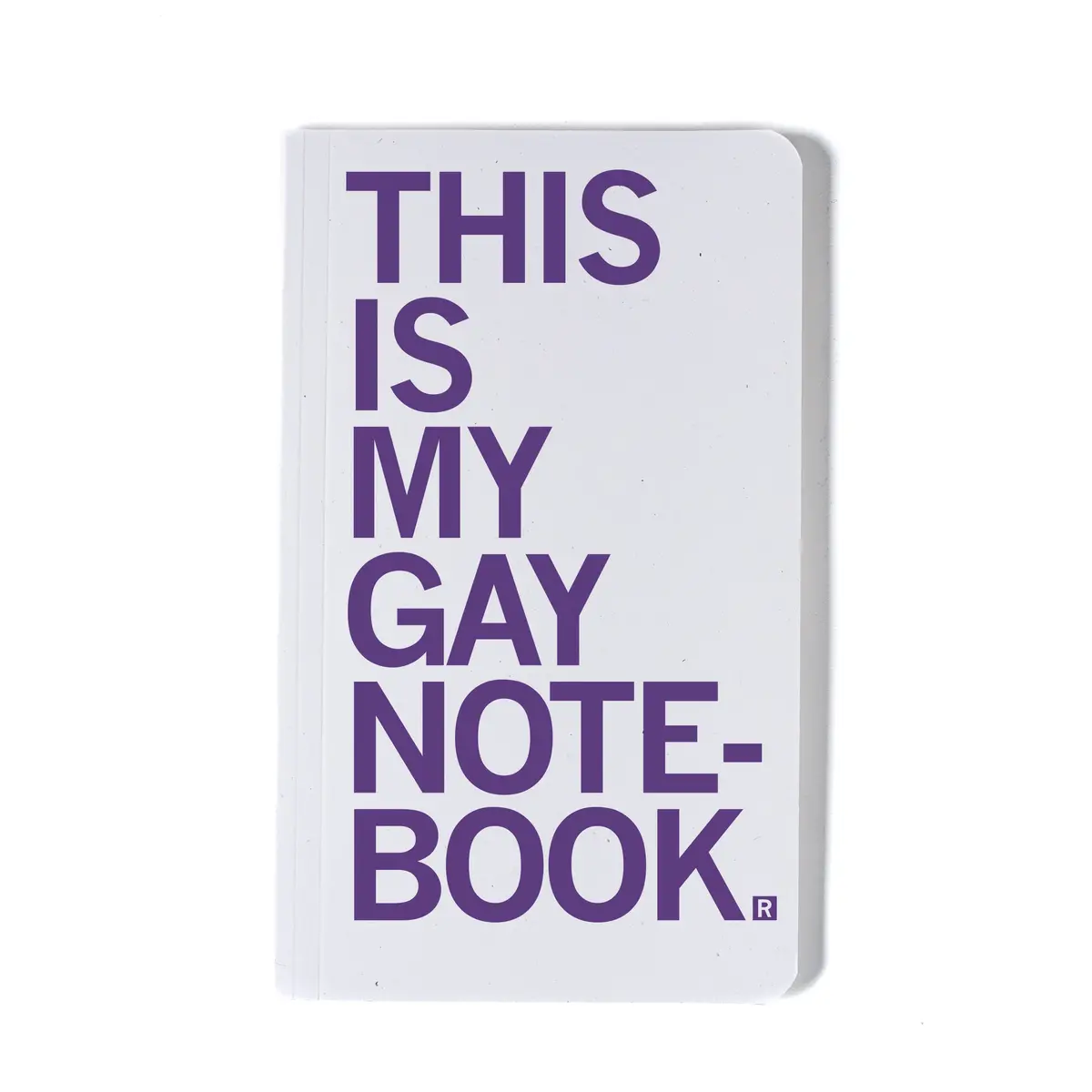 This Is My Gay Notebook 1