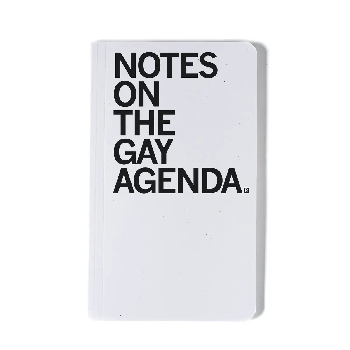 Notes On The Gay Agenda Notebook 1