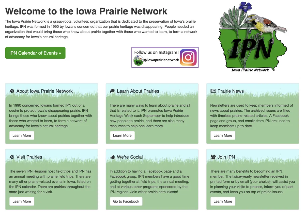 Midwestern Prairie Flowers 4