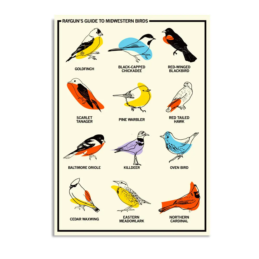 Midwestern Birds Postcard 1