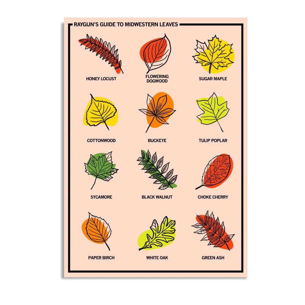 Midwestern Leaves Postcard 1