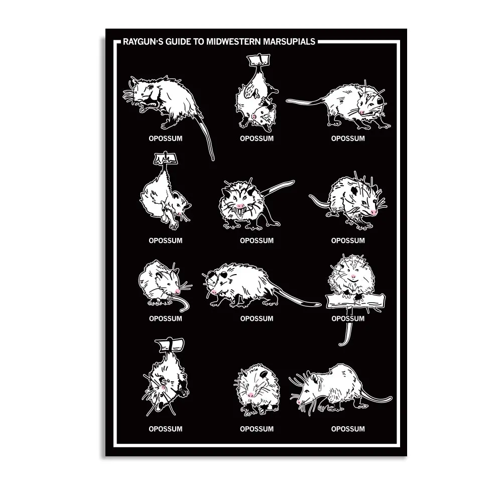 Midwestern Marsupials Postcard 1