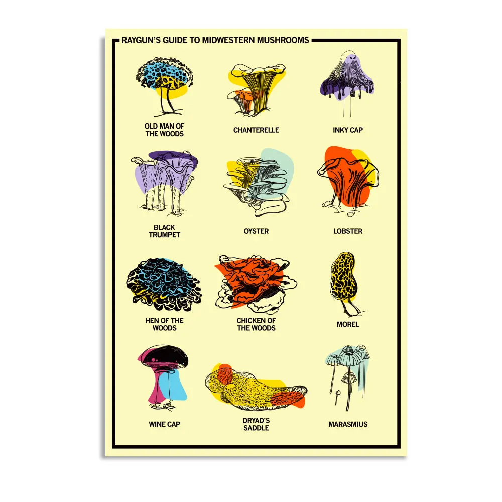 Midwestern Mushrooms Postcard 1