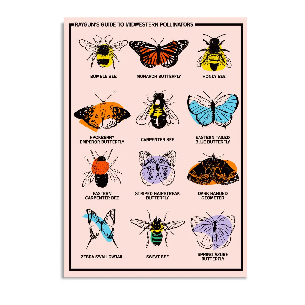 Midwestern Pollinators Postcard 1