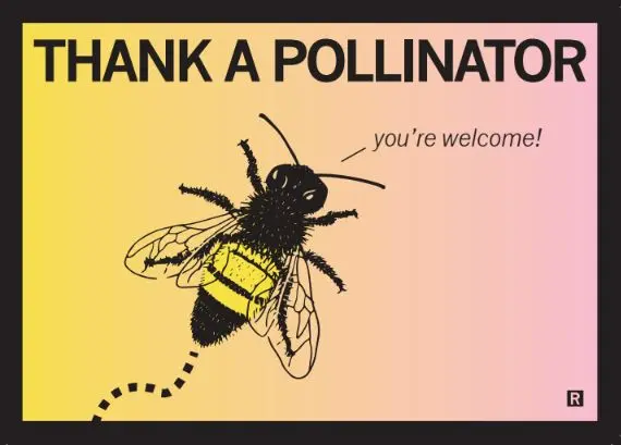 Thank A Pollinator Postcard 1