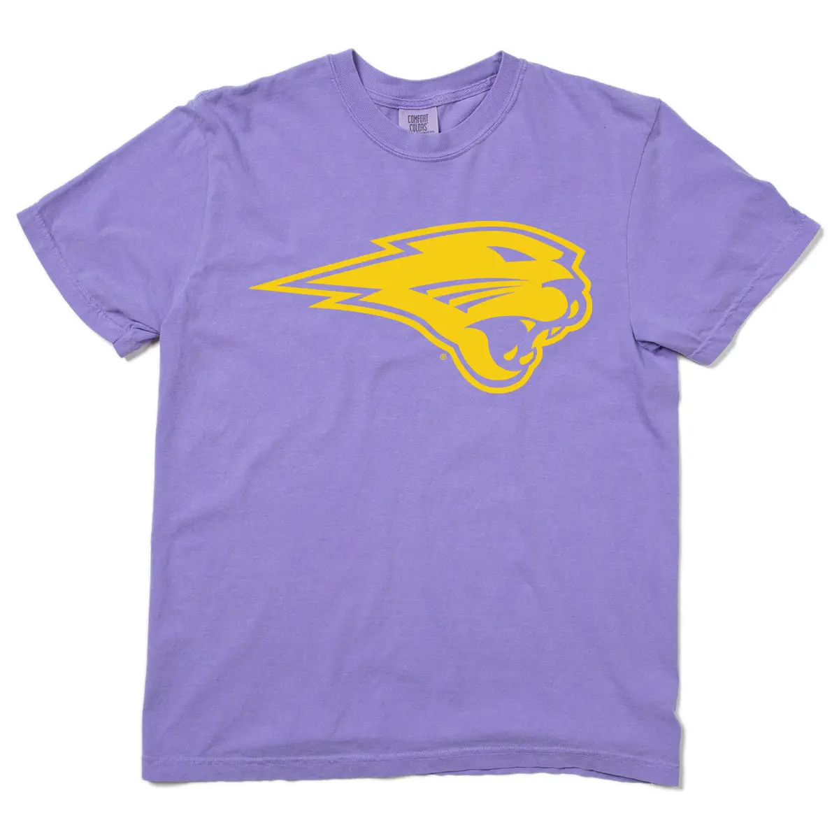 Panthers Logo Heavyweight 2