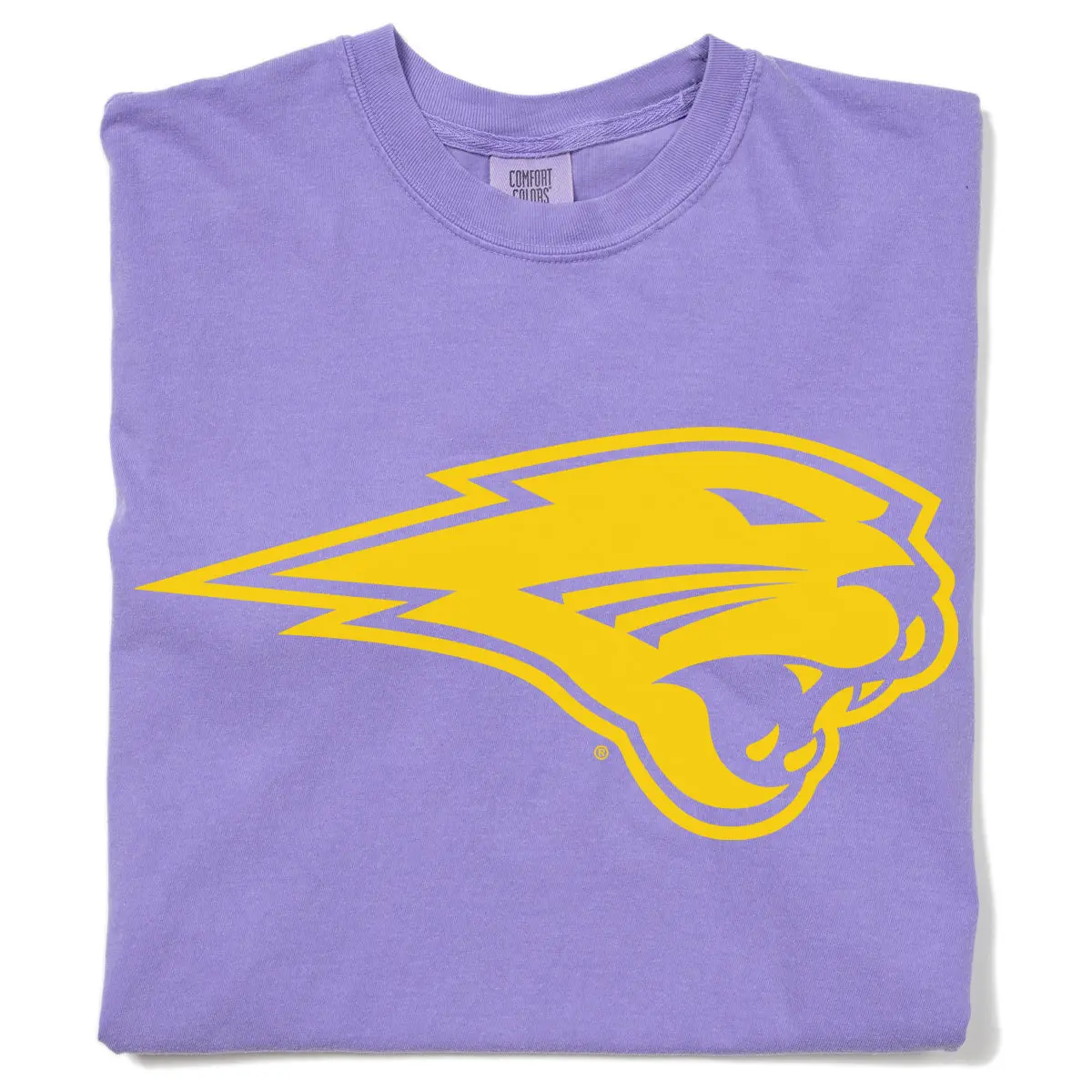 Panthers Logo Heavyweight 1